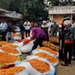 Exploring Jaipur’s Largest Flower Market (Pink City)