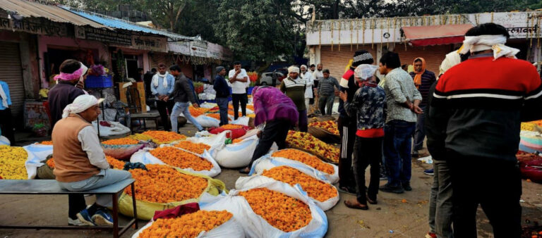 Exploring Jaipur’s Largest Flower Market (Pink City)
