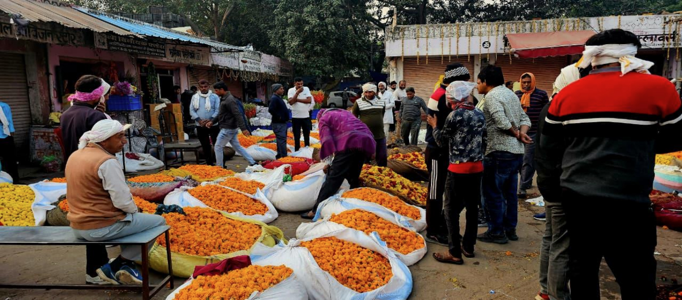 Exploring Jaipur’s Largest Flower Market (Pink City)